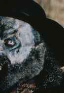 Curse of the Forty-Niner Poster 6