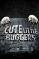 Cute Little Buggers Poster 2