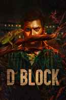 D Block Poster 4