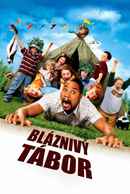 Daddy Day Camp Poster 1