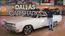 Dallas Car Sharks Poster 2
