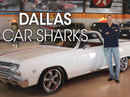Dallas Car Sharks Poster 1