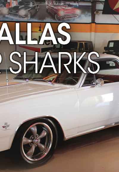 Dallas Car Sharks