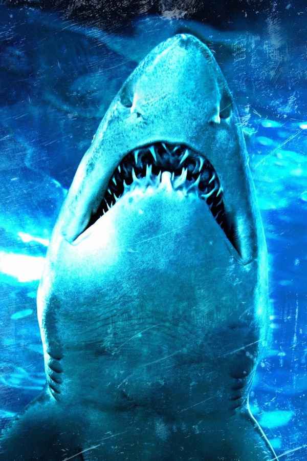 Dam Sharks! Poster 5