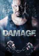 Damage Poster 6