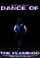 DANCE OF THE FLAMINGO Poster 2