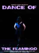 DANCE OF THE FLAMINGO Poster 1