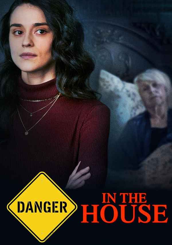 Danger in the House Poster 3