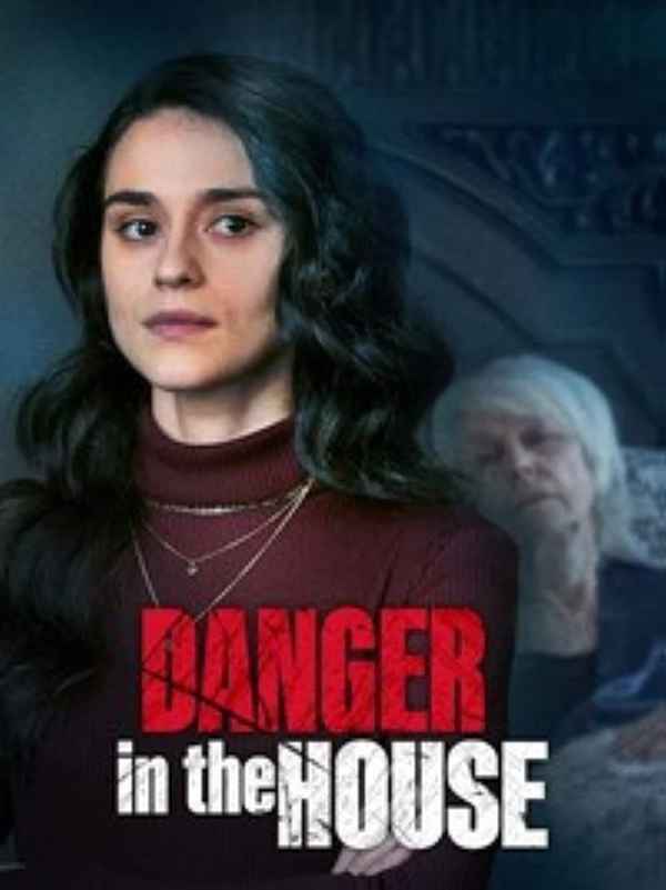 Danger in the House Poster 2