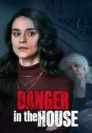 Danger in the House Poster 4