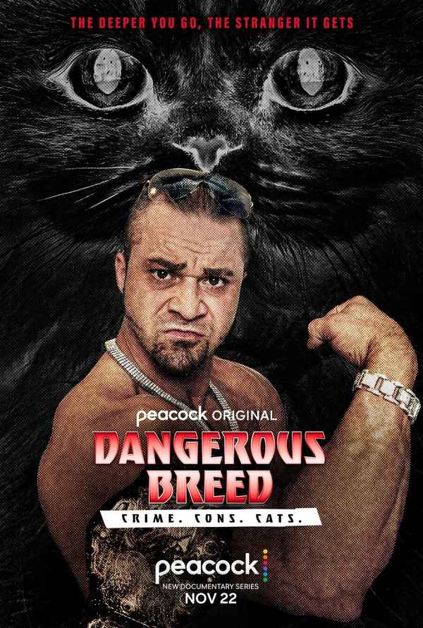 Dangerous Breed: Crime. Cons. Cats. Poster 2