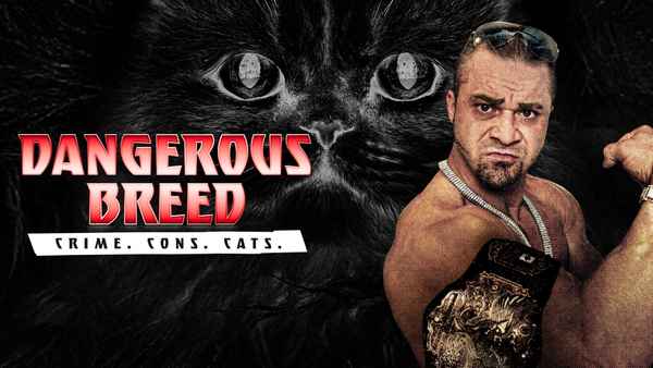 Dangerous Breed: Crime. Cons. Cats. Poster 1
