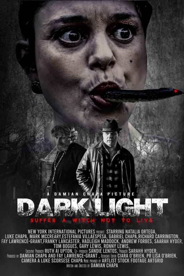 Dark Light Poster 2