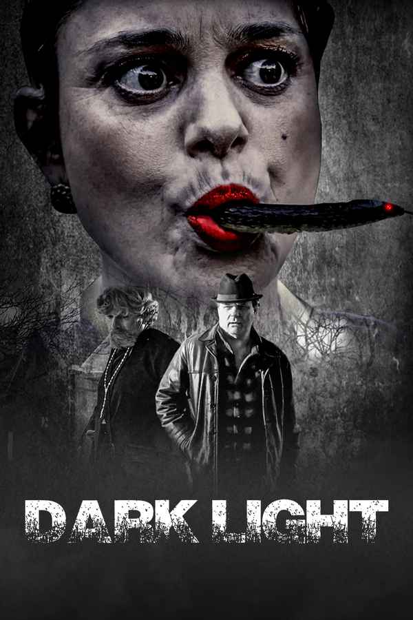 Dark Light Poster 1