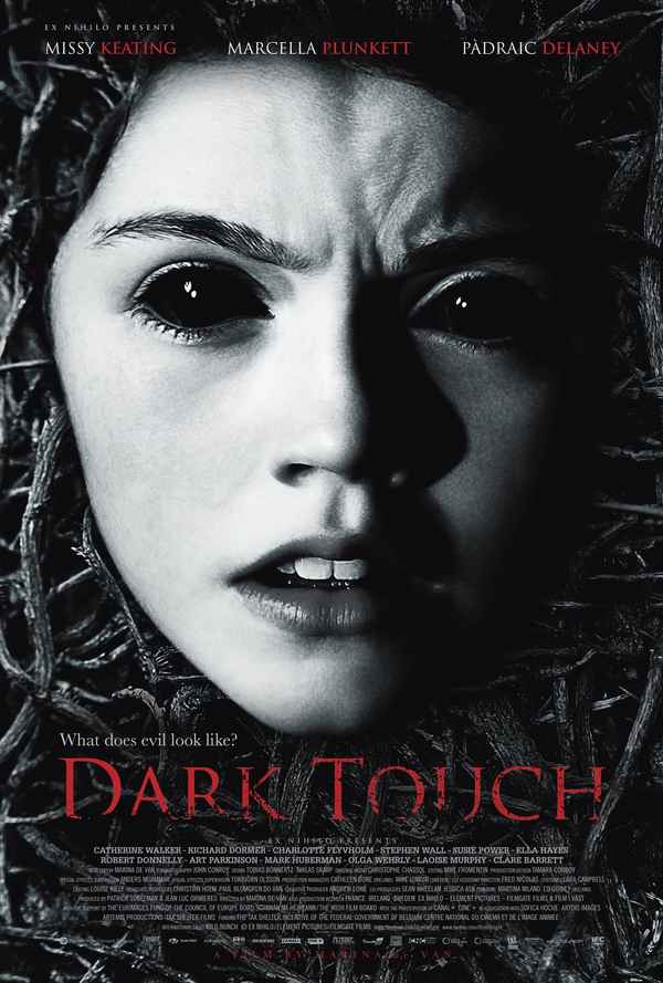 Dark Touch Poster 4