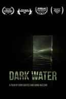Dark Water Poster 2