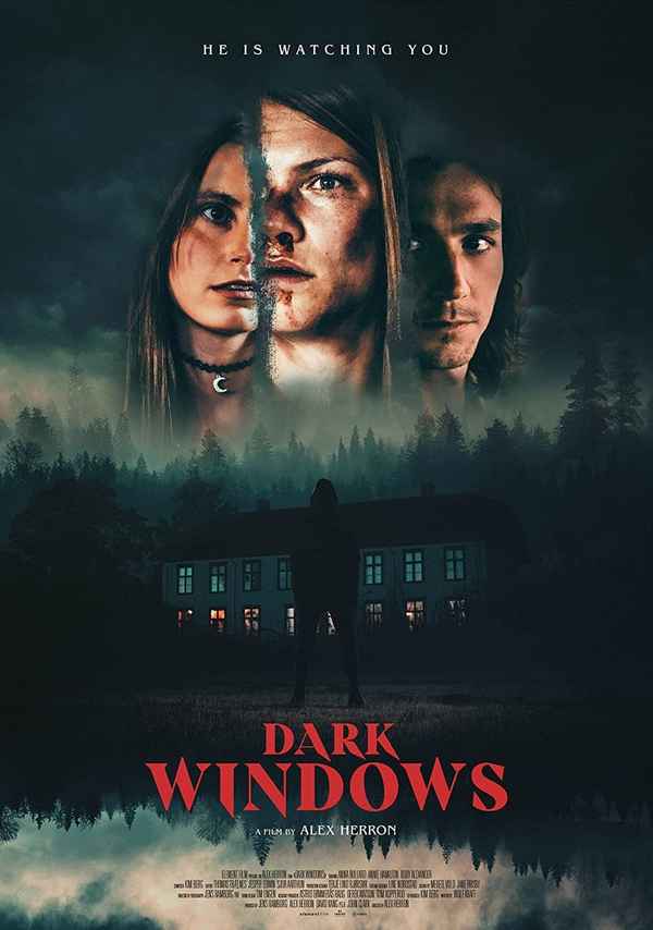 Dark Windows Poster 5