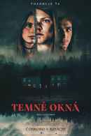 Dark Windows Poster 3