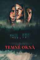 Dark Windows Poster 6