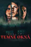 Dark Windows Poster 7