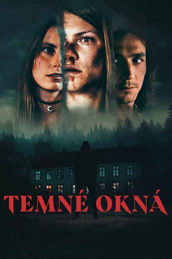 Dark Windows Poster 7