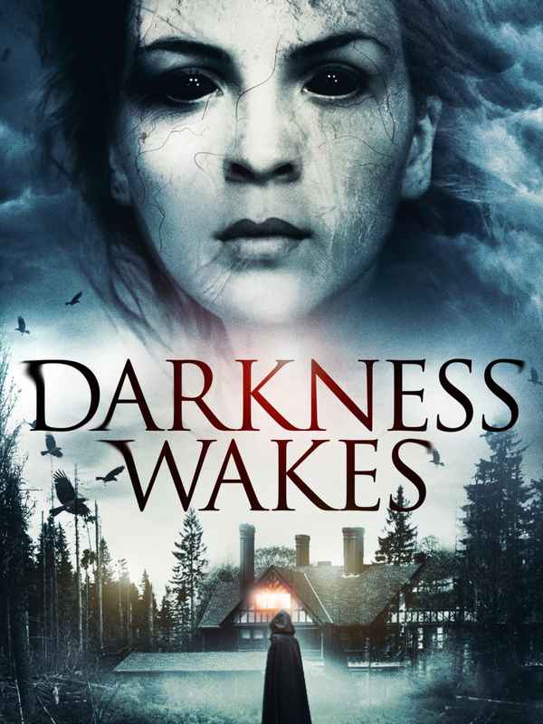 Darkness Wakes Poster 5