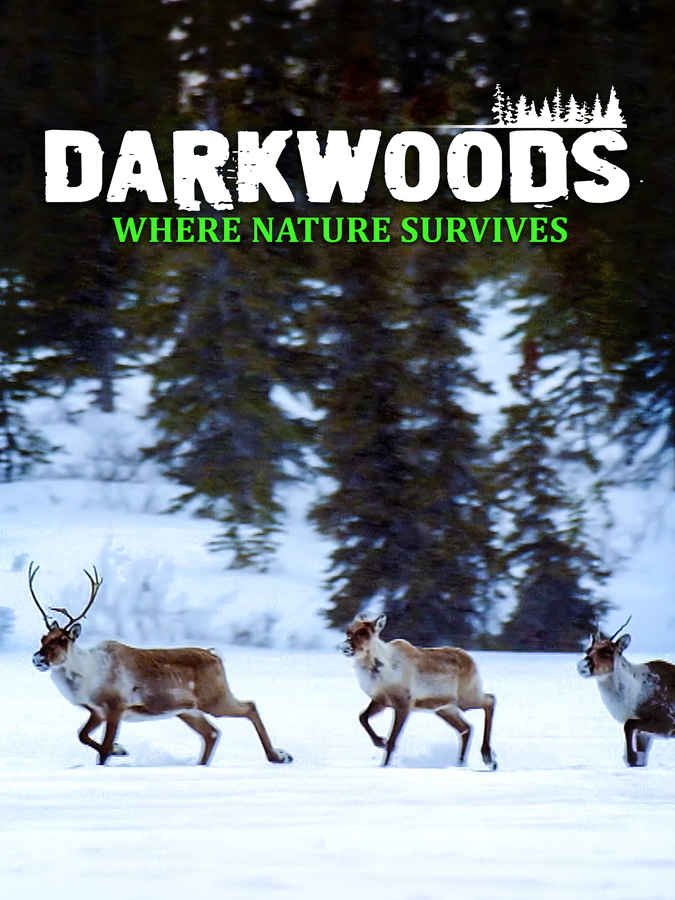 Darkwoods Where Nature Survives