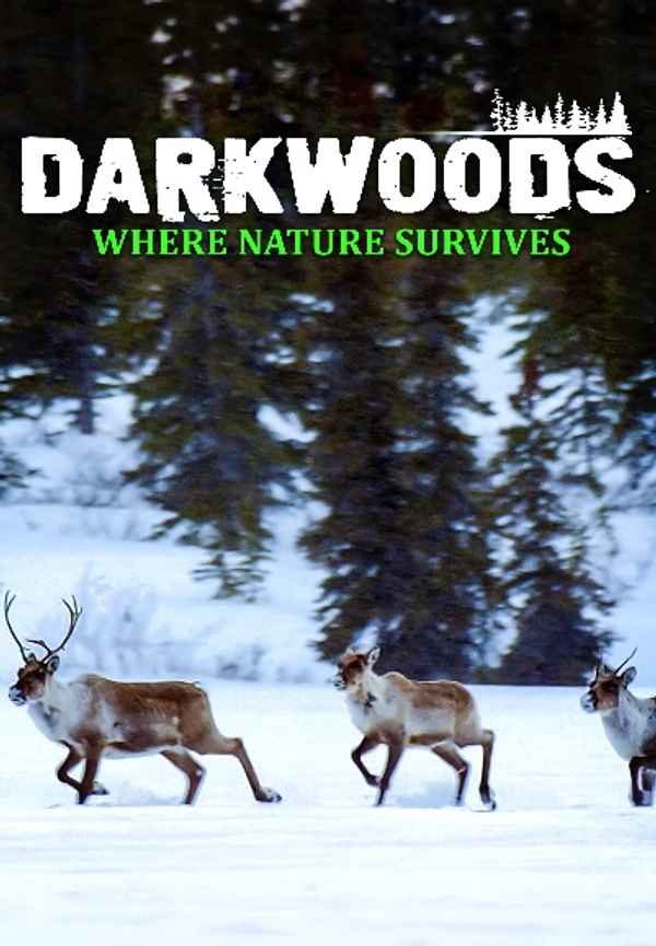 Darkwoods Where Nature Survives Poster 3