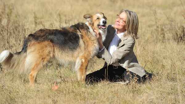 Darling Companion Poster 1