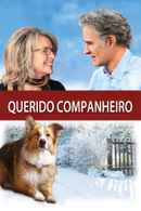 Darling Companion Poster 7