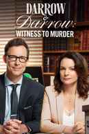 Darrow & Darrow: Witness to Murder Poster 6