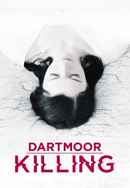 Dartmoor Killing Poster 2