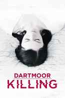 Dartmoor Killing Poster 1