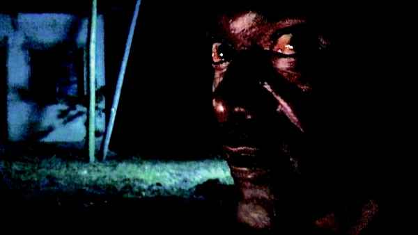 Darwin's Nightmare Poster 3