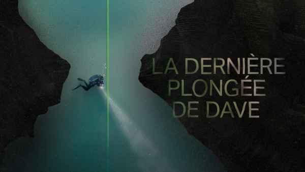 Dave Not Coming Back Poster 1