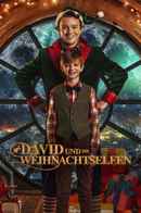 David and the Elves Poster 2