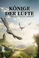 David Attenborough's Conquest of the Skies Poster 3