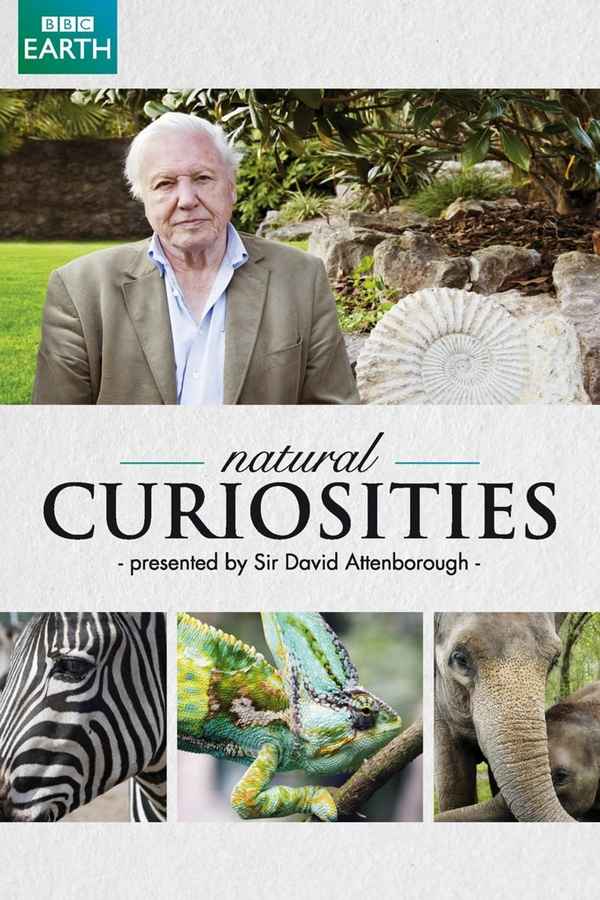 David Attenborough's Natural Curiosities Poster 4