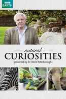 David Attenborough's Natural Curiosities Poster 5