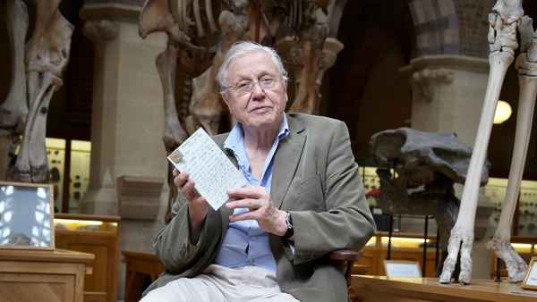 David Attenborough's Natural Curiosities Poster 1