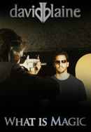 David Blaine: What Is Magic? Poster 2