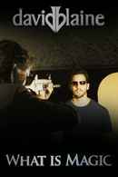 David Blaine: What Is Magic? Poster 1