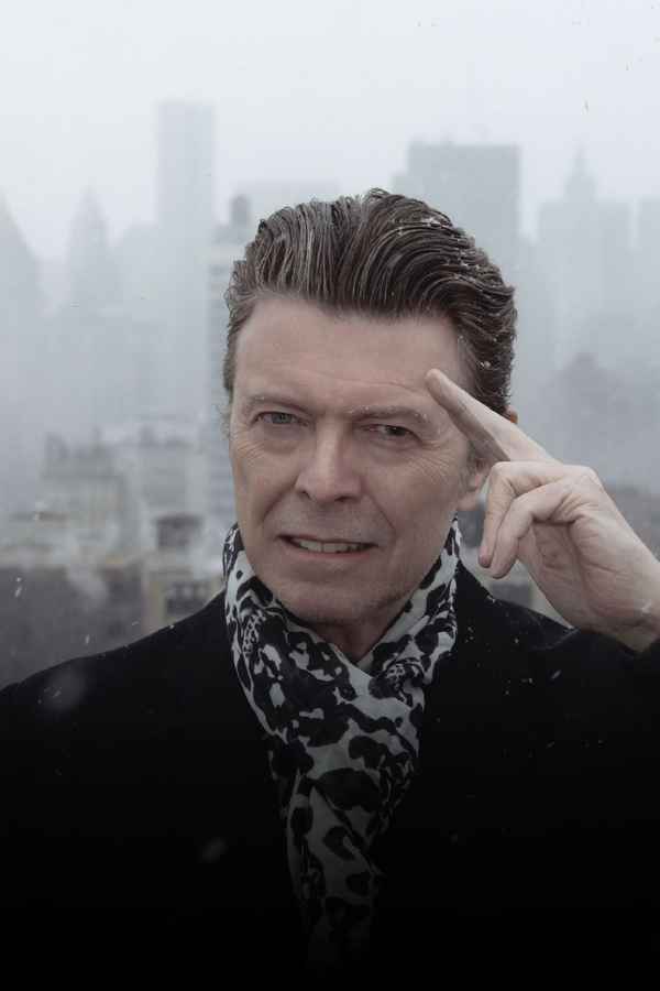 David Bowie: The Last Five Years Poster 4