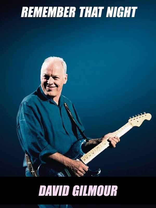 David Gilmour - Remember That Night Poster 6