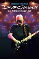 David Gilmour - Remember That Night Poster 7