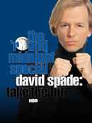 David Spade: Take The Hit Poster 2