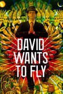 David Wants to Fly Poster 2