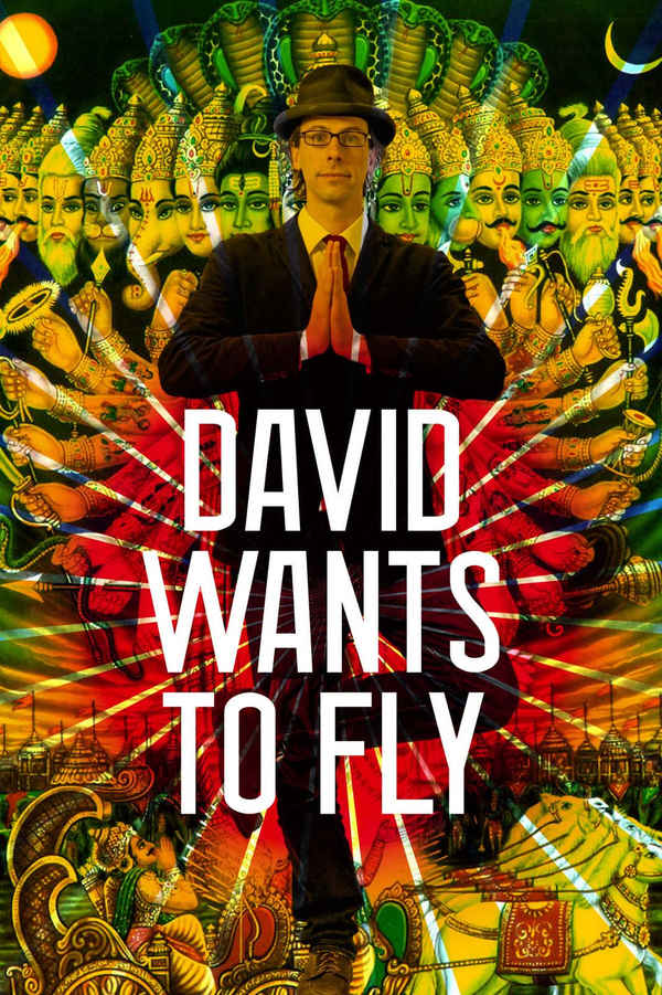 David Wants to Fly Poster 2