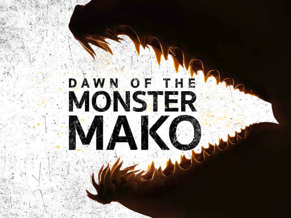 Dawn of the Monster Mako Poster 7