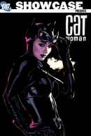 DC Showcase: Catwoman Poster 3